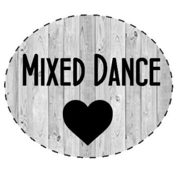 Mixed Dance Bags